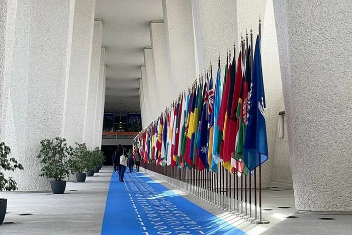 Delegates walking past a row of national flags at an international institution
